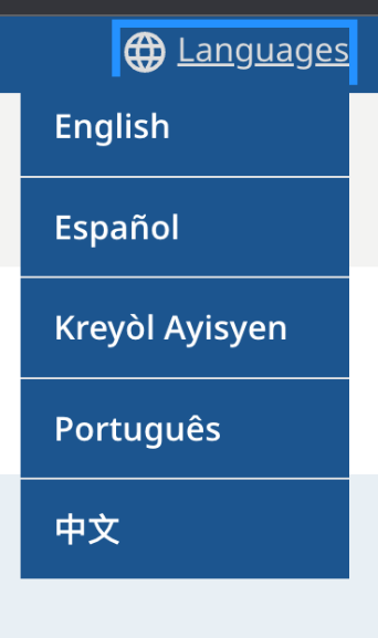A screenshot of how people can select a language on the application website.  