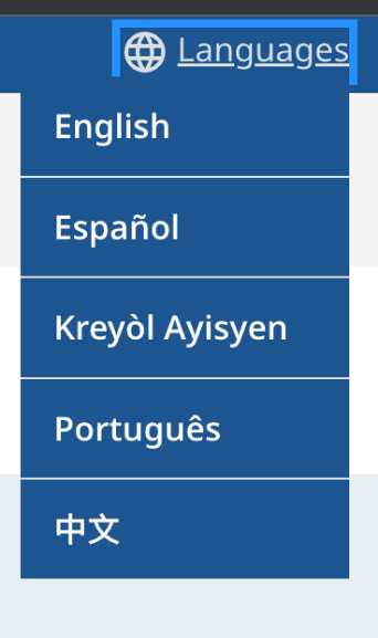 A screenshot of how people can select a language on the application website.
