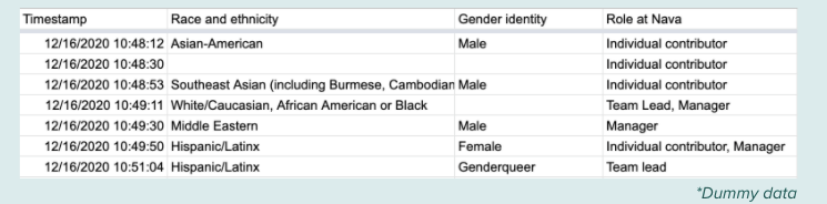 A screenshot of a spreadsheet shows data collected into columns, including: "Timestamp," "Race and ethnicity," "Gender identity," and "Role at Nava."